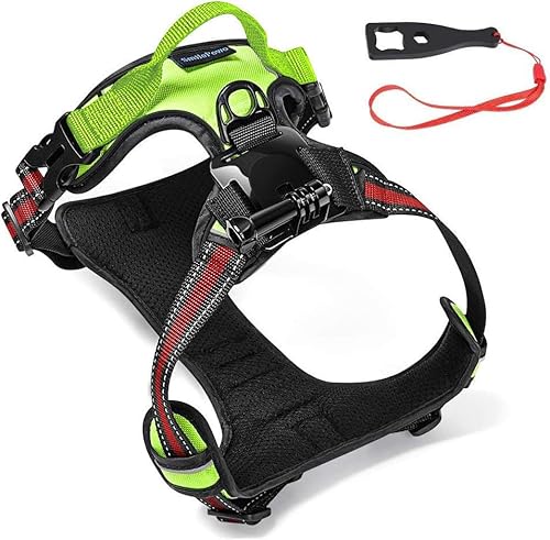 7 Best Action Cameras for Dogs: Capture Their Pawsome Adventures!