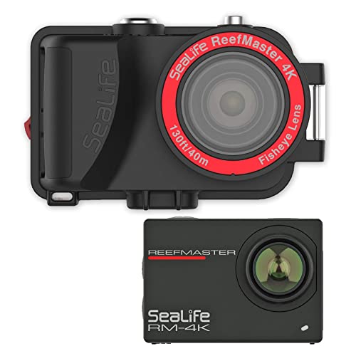 10 Best Action Cameras for Stunning Underwater Stills