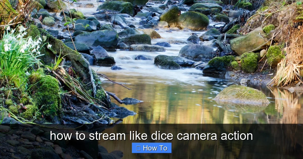 how to stream like dice camera action - content1 visual guide