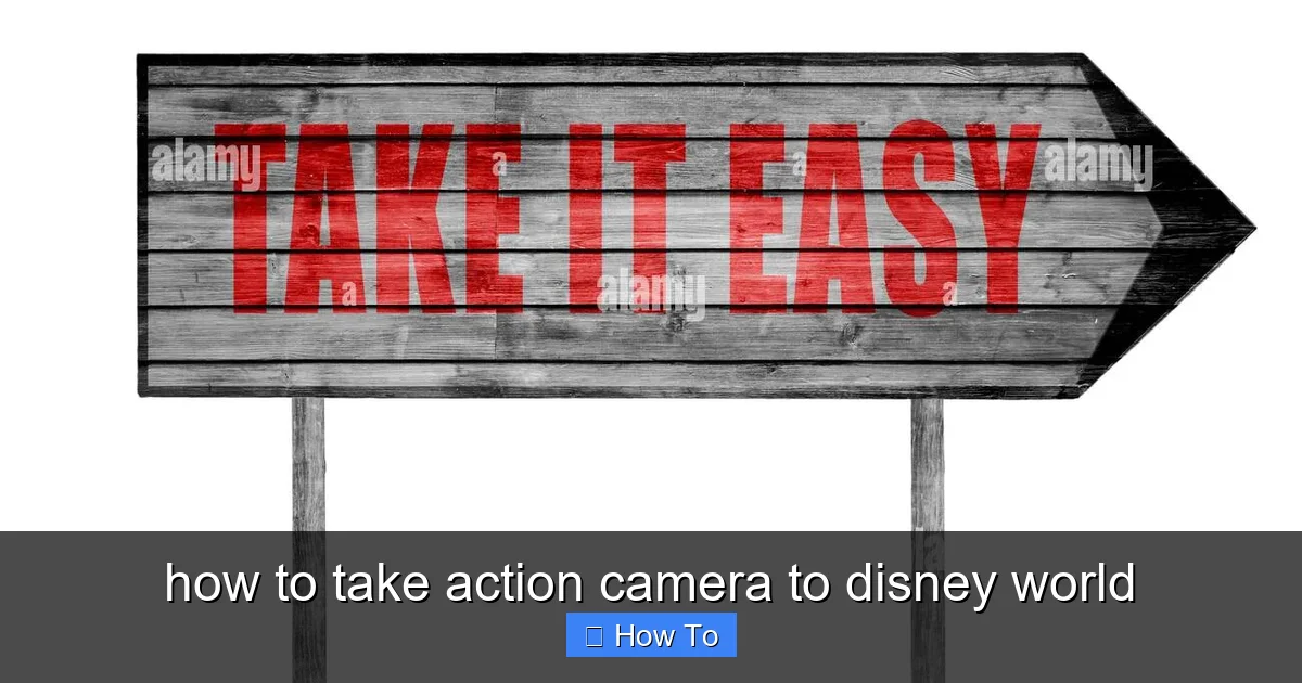 how to take action camera to disney world - content1 visual guide