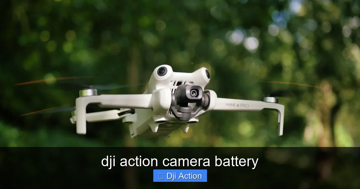 dji action camera battery - content1 visual guide