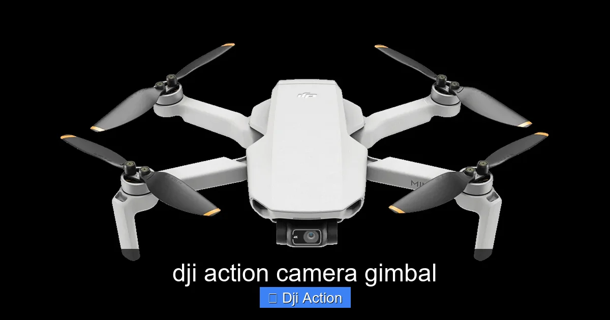 dji action camera gimbal - content2 visual guide