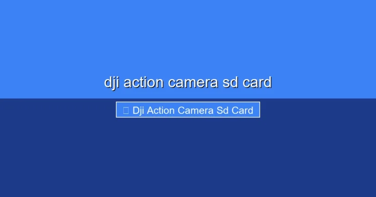 Featured image for dji action camera sd card