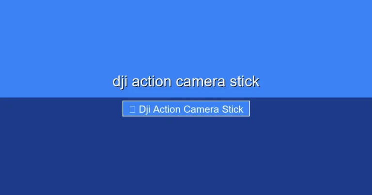 Featured image for dji action camera stick