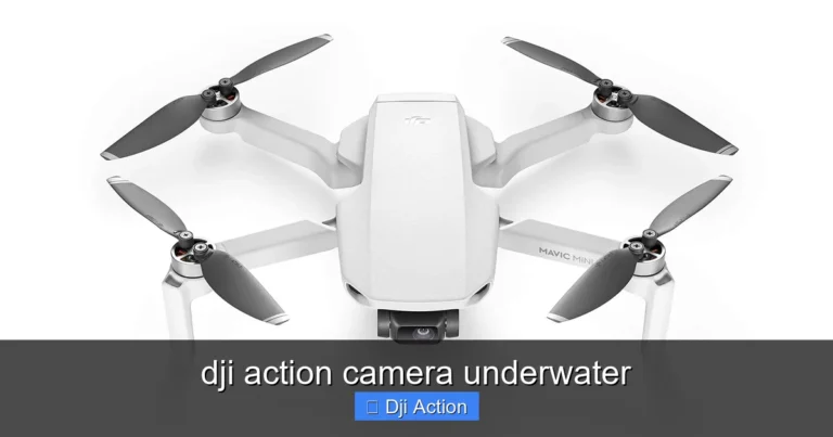 Featured image for dji action camera underwater