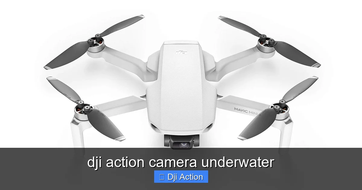 Featured image for dji action camera underwater
