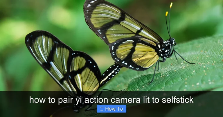 Featured image for how to pair yi action camera lit to selfstick