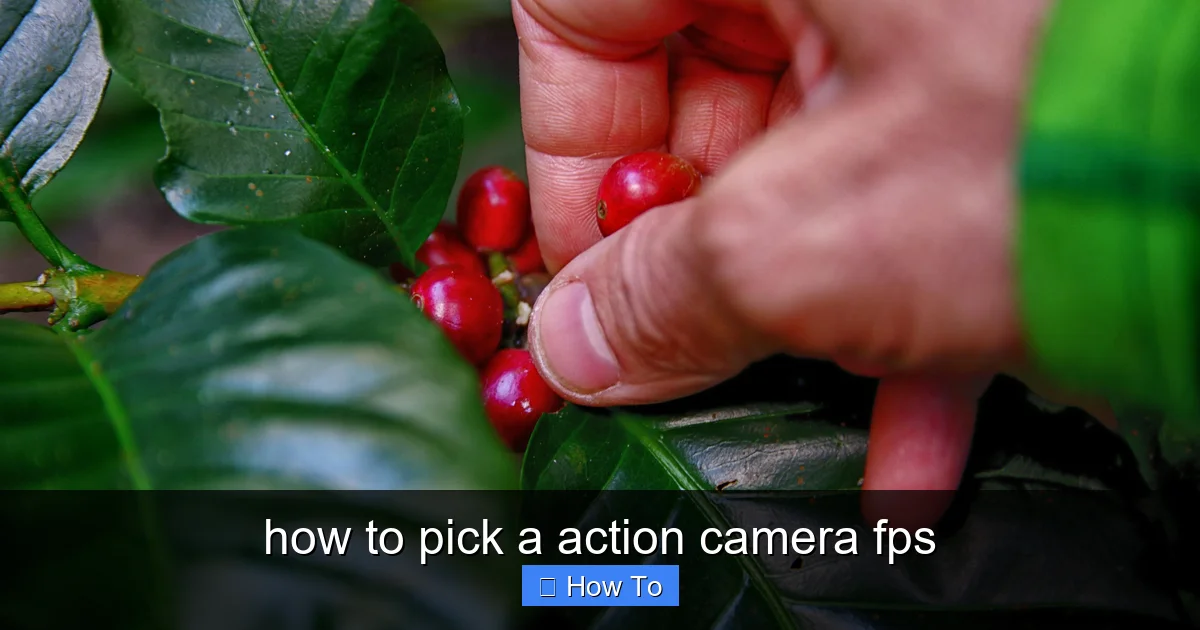 Featured image for how to pick a action camera fps