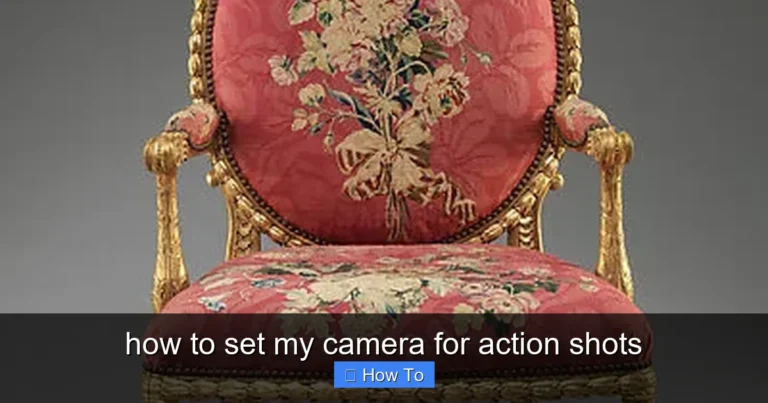 Featured image for how to set my camera for action shots