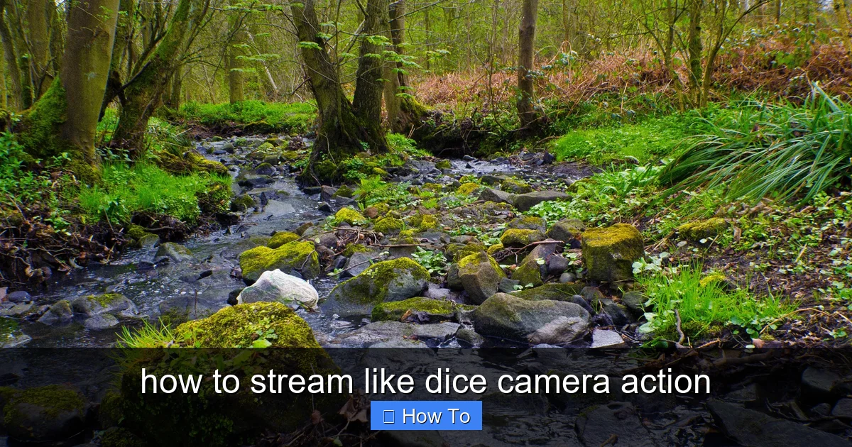 Featured image for how to stream like dice camera action