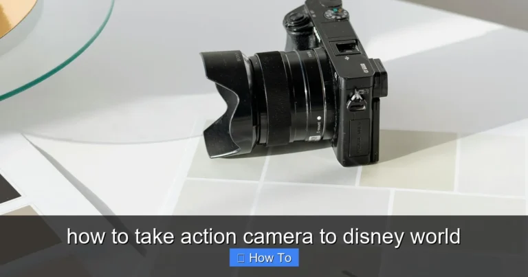 Featured image for how to take action camera to disney world