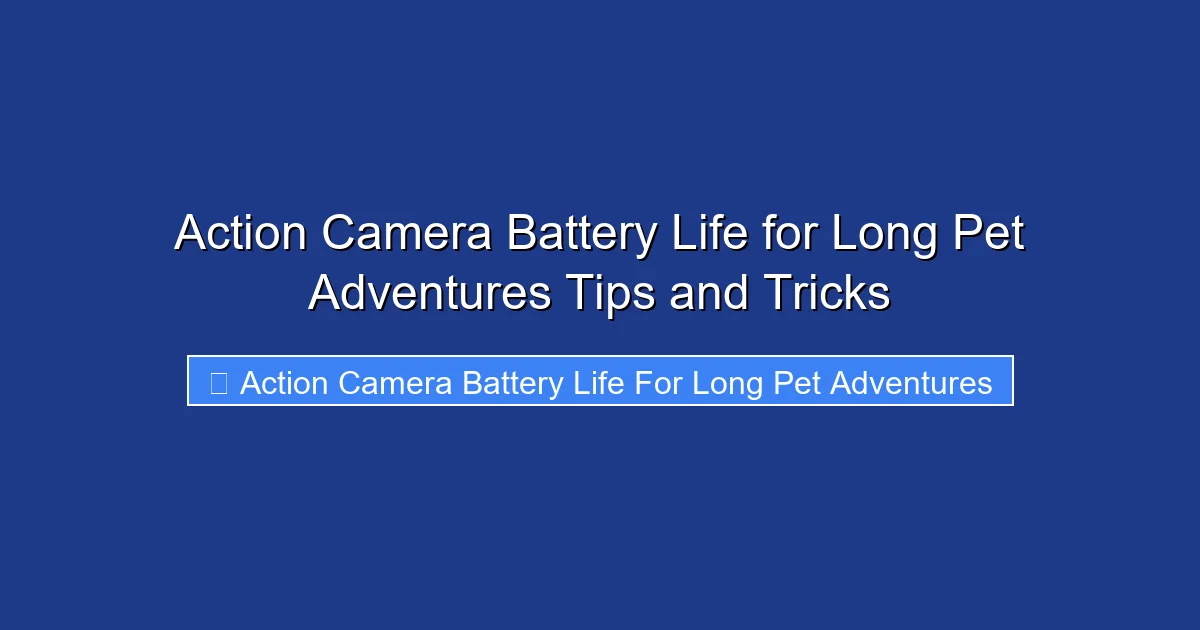 Action Camera Battery Life for Long Pet Adventures Tips and Tricks