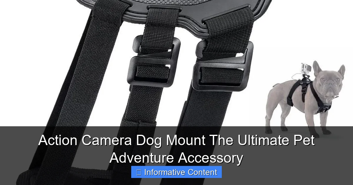 Action Camera Dog Mount The Ultimate Pet Adventure Accessory