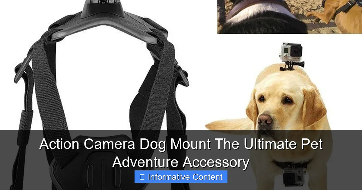 Action Camera Dog Mount The Ultimate Pet Adventure Accessory