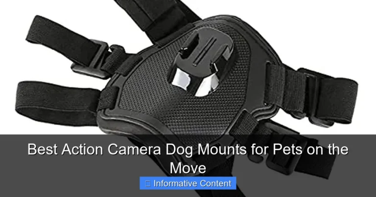 Best Action Camera Dog Mounts for Pets on the Move