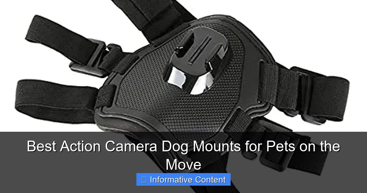 Best Action Camera Dog Mounts for Pets on the Move