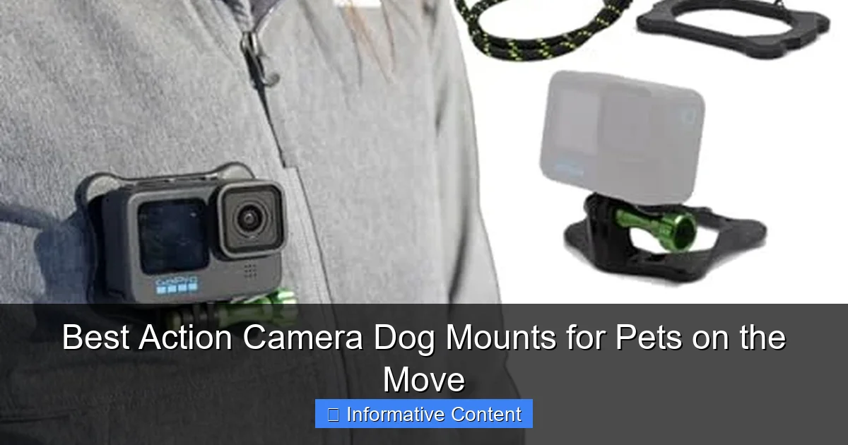Best Action Camera Dog Mounts for Pets on the Move