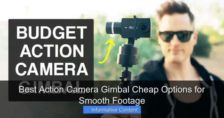 Best Action Camera Gimbal Cheap Options for Smooth Footage