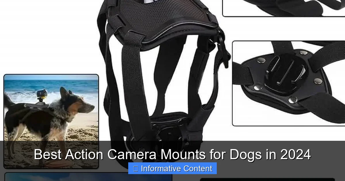 Best Action Camera Mounts for Dogs in 2024