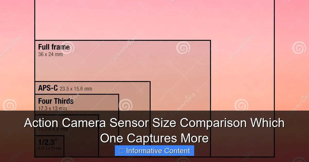 Action Camera Sensor Size Comparison Which One Captures More