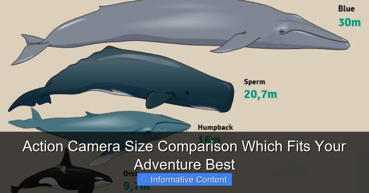 Action Camera Size Comparison Which Fits Your Adventure Best