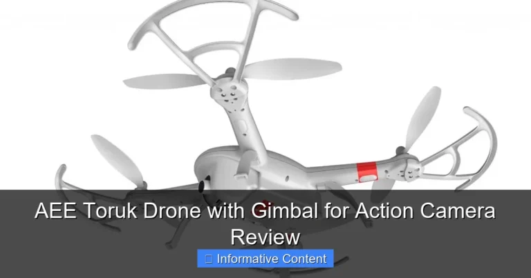 AEE Toruk Drone with Gimbal for Action Camera Review