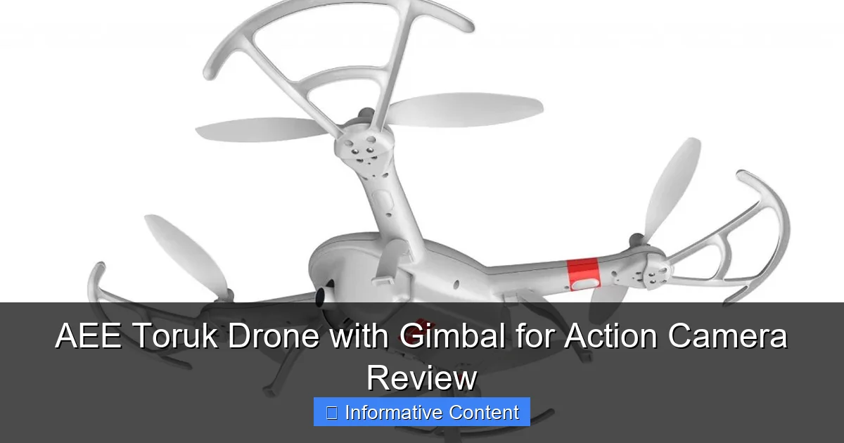 AEE Toruk Drone with Gimbal for Action Camera Review