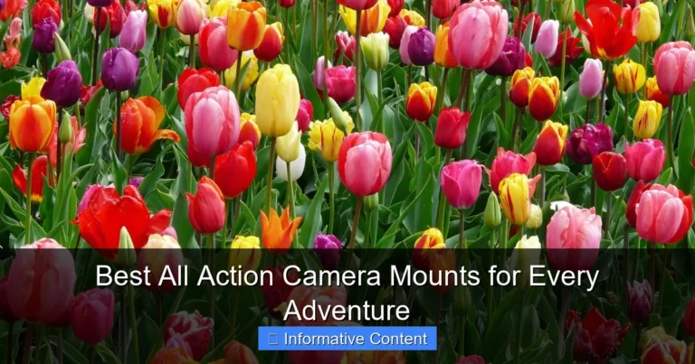 Best All Action Camera Mounts for Every Adventure