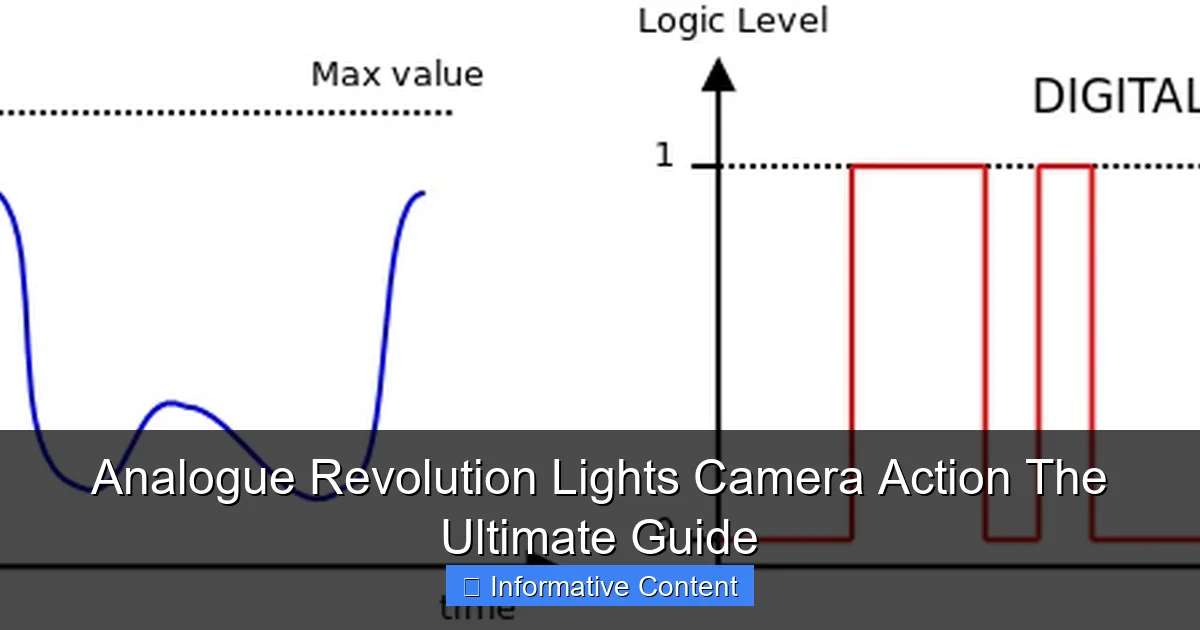 Analogue Revolution Lights Camera Action The Ultimate Guide