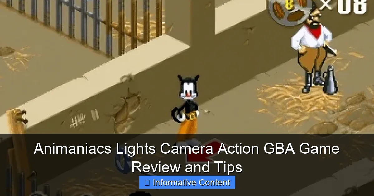 Animaniacs Lights Camera Action GBA Game Review and Tips