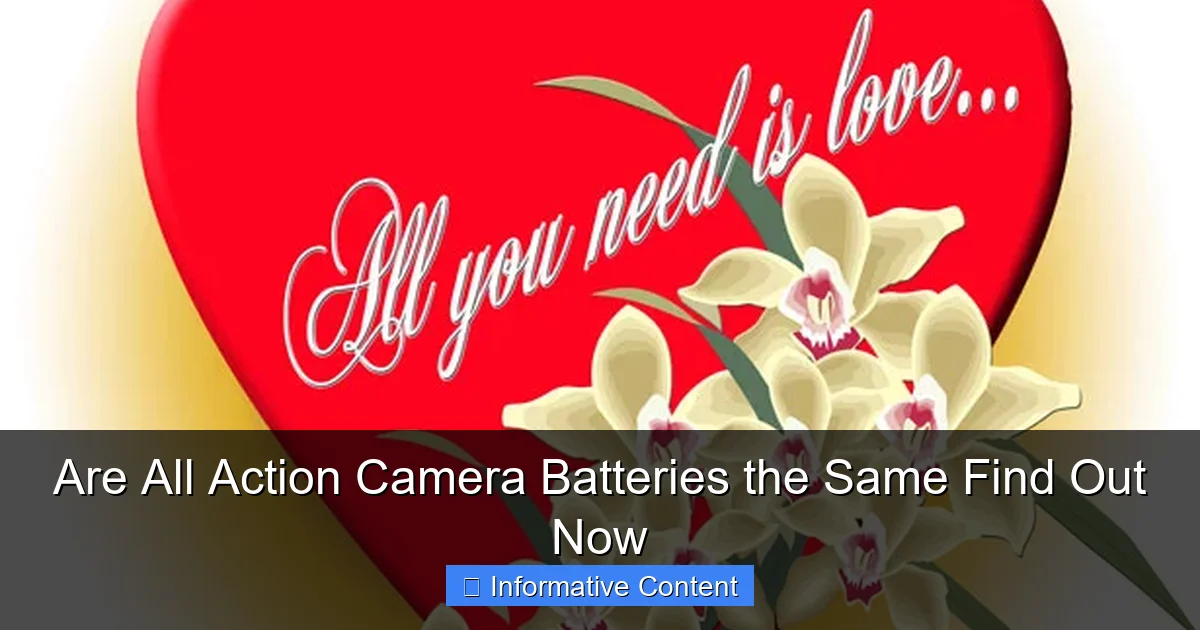 Are All Action Camera Batteries the Same Find Out Now