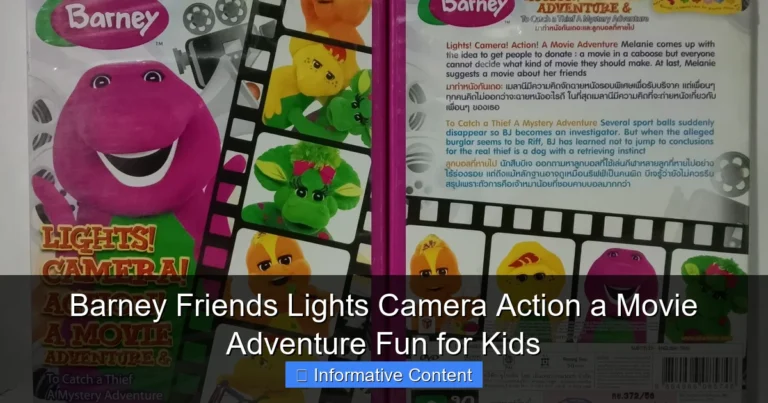 Barney Friends Lights Camera Action a Movie Adventure Fun for Kids