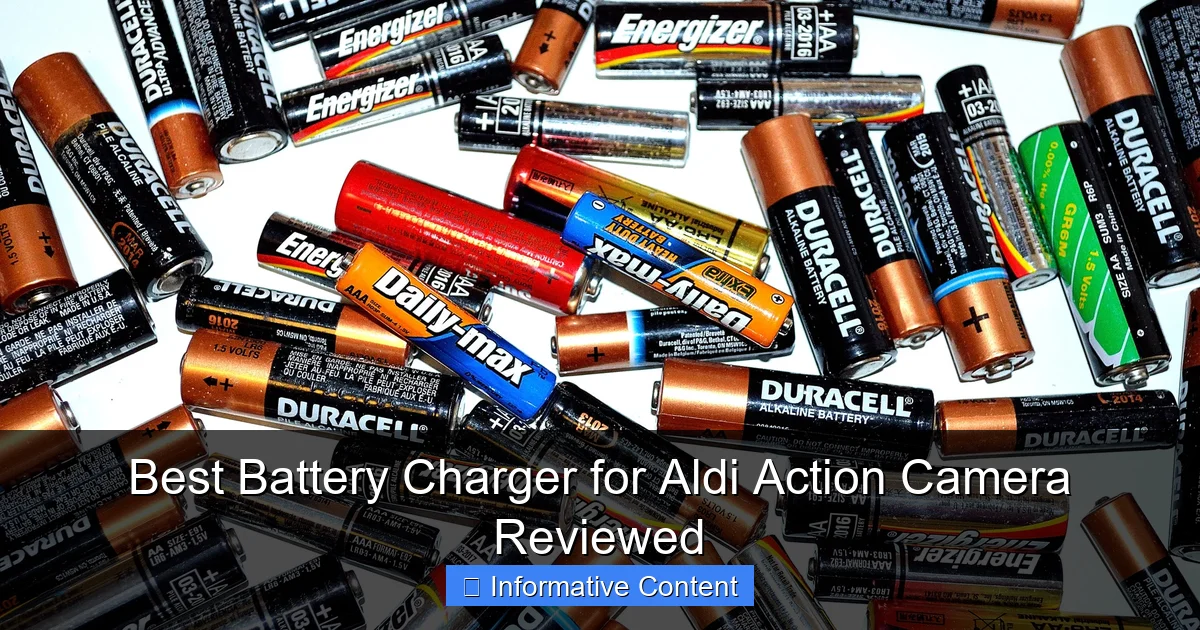 Best Battery Charger for Aldi Action Camera Reviewed