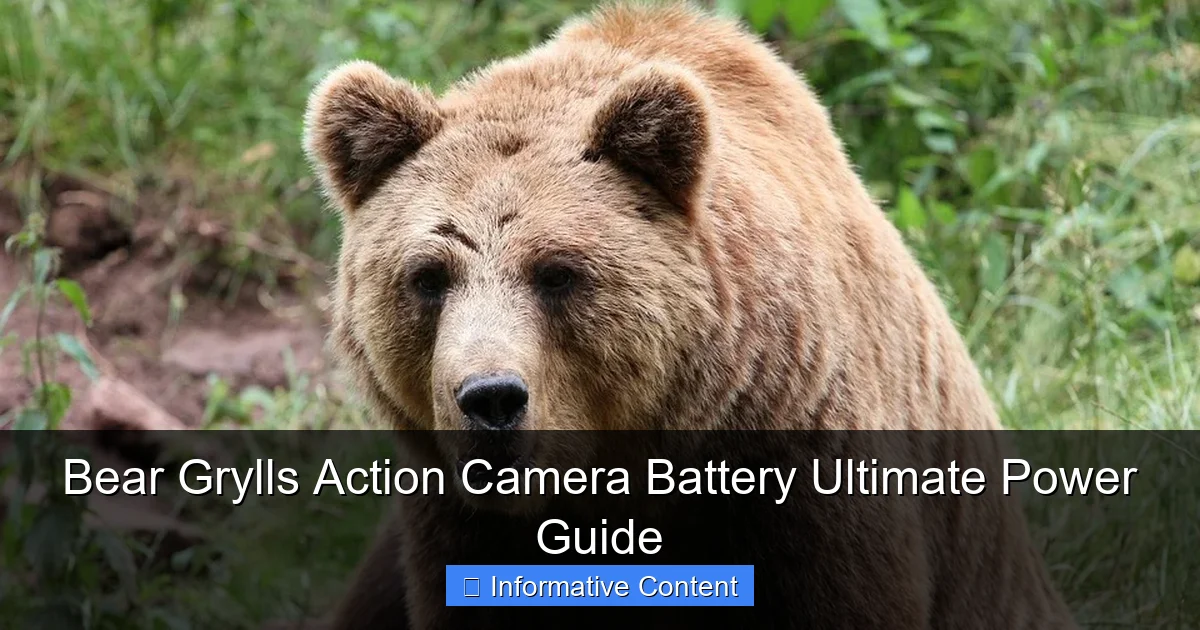 Bear Grylls Action Camera Battery Ultimate Power Guide