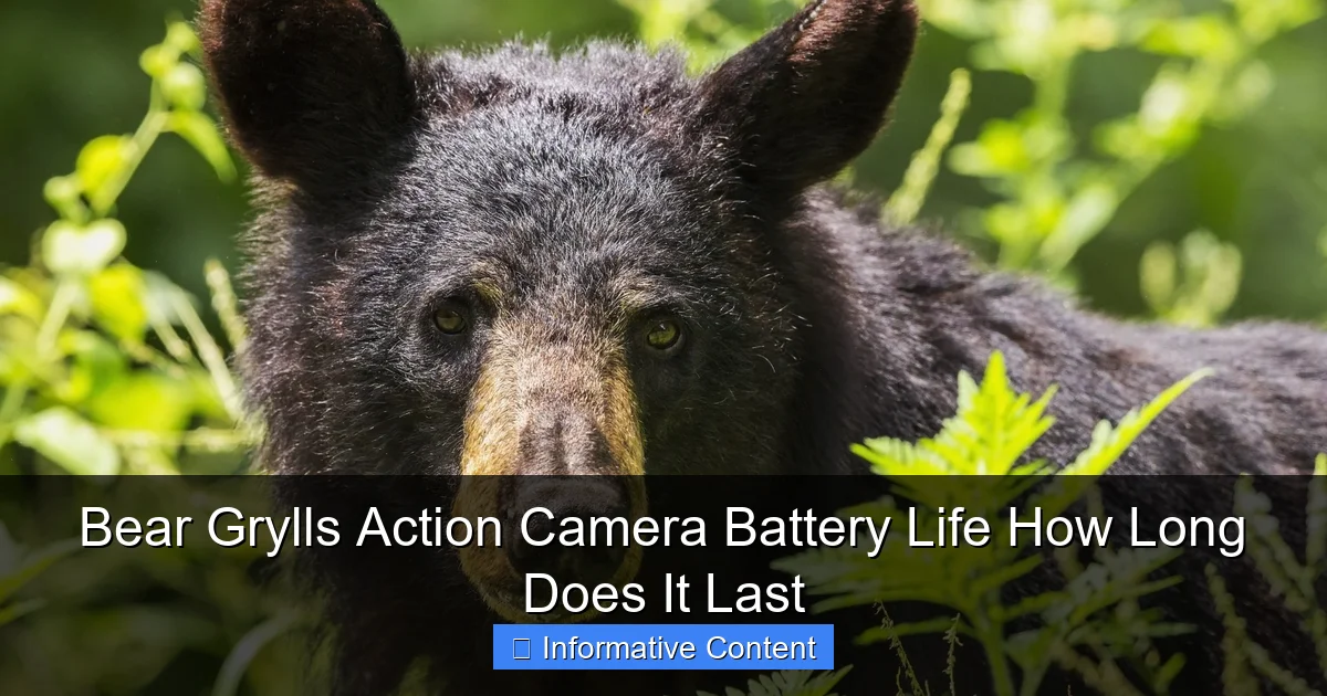 Bear Grylls Action Camera Battery Life How Long Does It Last