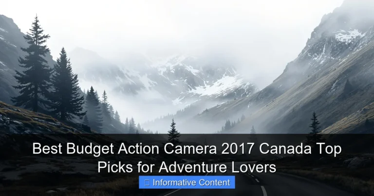 Best Budget Action Camera 2017 Canada Top Picks for Adventure Lovers