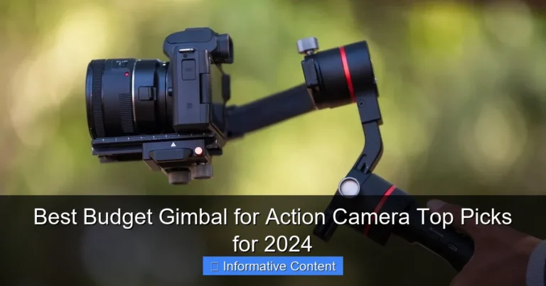 Best Budget Gimbal for Action Camera Top Picks for 2024