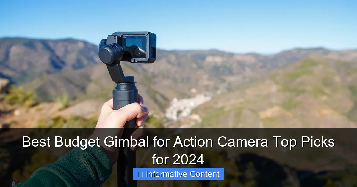 Best Budget Gimbal for Action Camera Top Picks for 2024