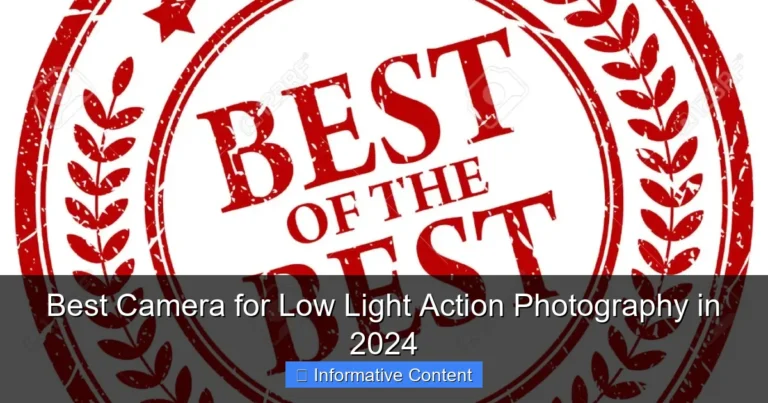 Best Camera for Low Light Action Photography in 2024