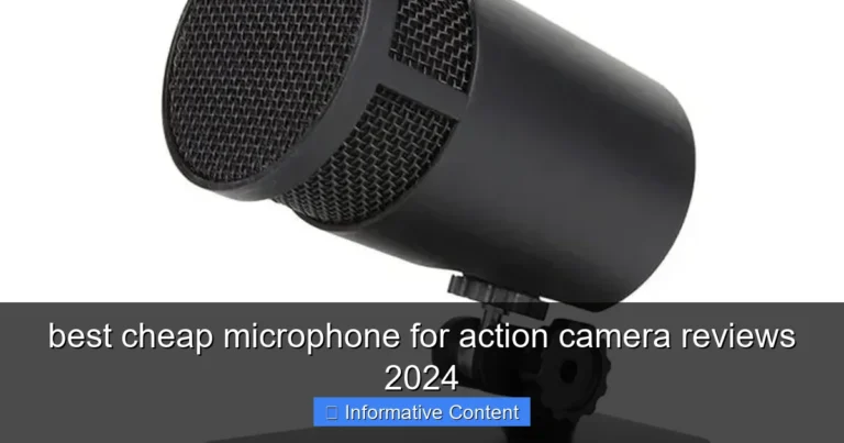 best cheap microphone for action camera reviews 2024
