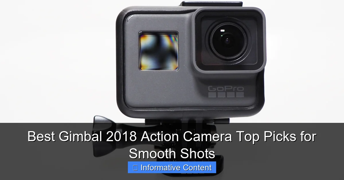 Best Gimbal 2018 Action Camera Top Picks for Smooth Shots
