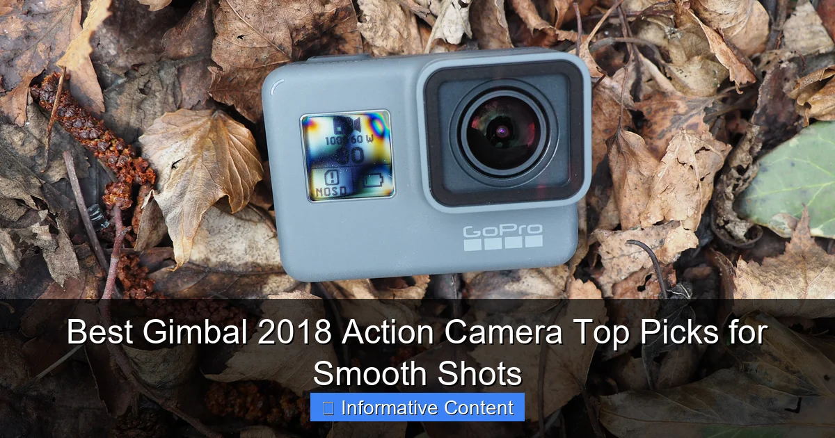 Best Gimbal 2018 Action Camera Top Picks for Smooth Shots