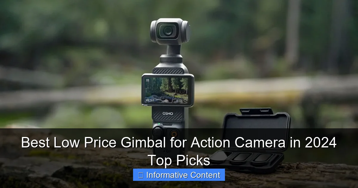 Best Low Price Gimbal for Action Camera in 2024 Top Picks