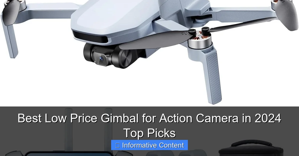 Best Low Price Gimbal for Action Camera in 2024 Top Picks