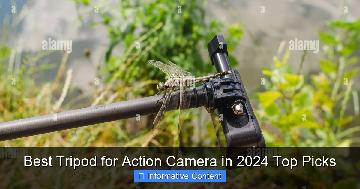 Best Tripod for Action Camera in 2024 Top Picks