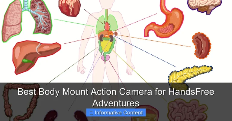 Best Body Mount Action Camera for HandsFree Adventures