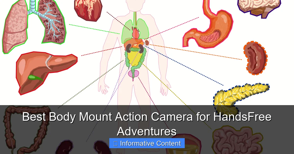 Best Body Mount Action Camera for HandsFree Adventures