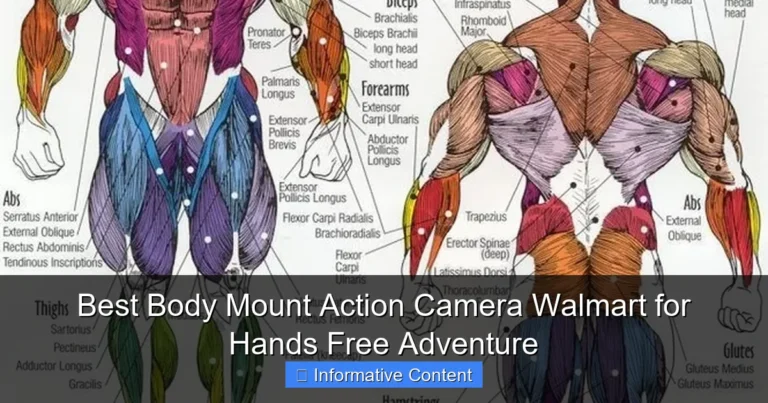 Best Body Mount Action Camera Walmart for Hands Free Adventure