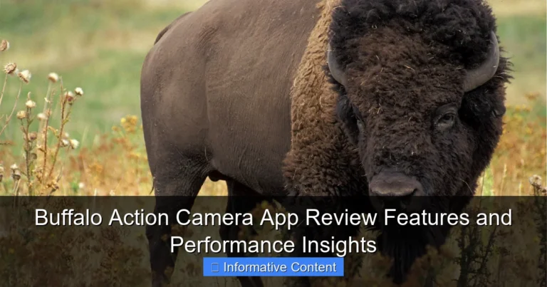 Buffalo Action Camera App Review Features and Performance Insights