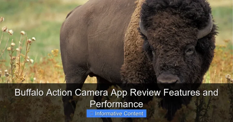 Buffalo Action Camera App Review Features and Performance